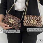 کیف مجلسی زنانه مدل کلاسیک